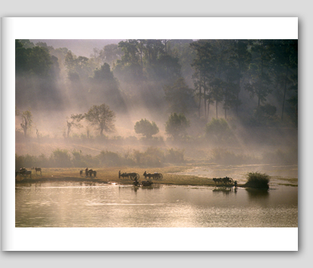 fotografia De Agnoi